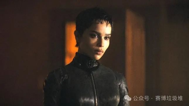 看蝙蝠侠哥谭的感受_先看哥谭还是先看蝙蝠侠_蝙蝠侠哥谭骑士配置要求