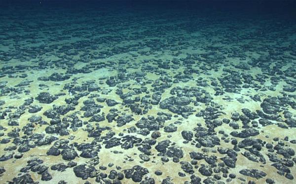 Polyme<em></em>tallic nodules in the western Atlantic Ocean. This image was captured on a deep-sea research mission in 2019.