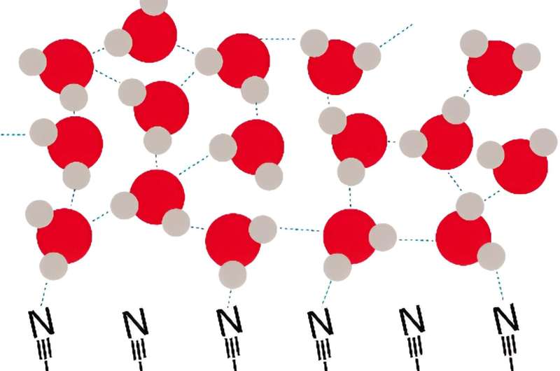 First observation of how water molecules move near a me<em></em>tal electrode